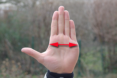 Die Breite einer Hand am Fingeransatz
