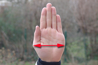 Die Breite einer Hand gemessen am Daumenansatz