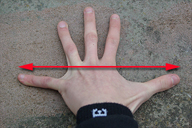 Der Abstand der Fingerspitzen vom kleinen Finger zum Daumen bei gespreizter Hand