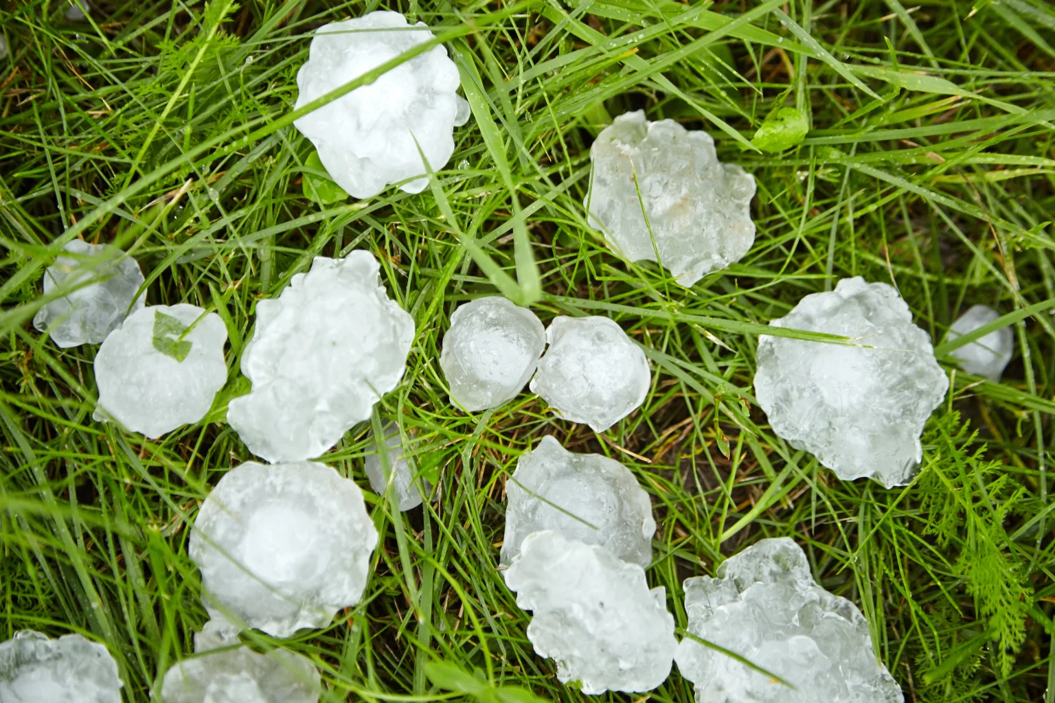 Hagel