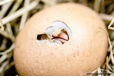 Blick in die gro&szlig;e weite Welt