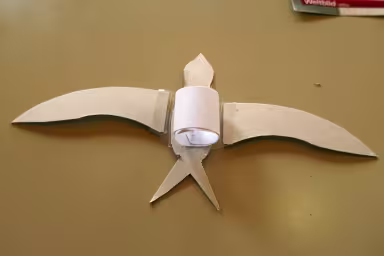 Den Papierring auf den Bauch des Vogels kleben
