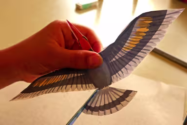 Du kannst auch andere V&ouml;gel malen